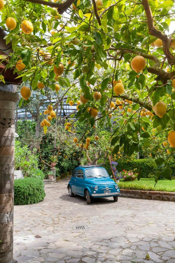 Villa Maresca B&B Piano di Sorrento Eksteriør bilde