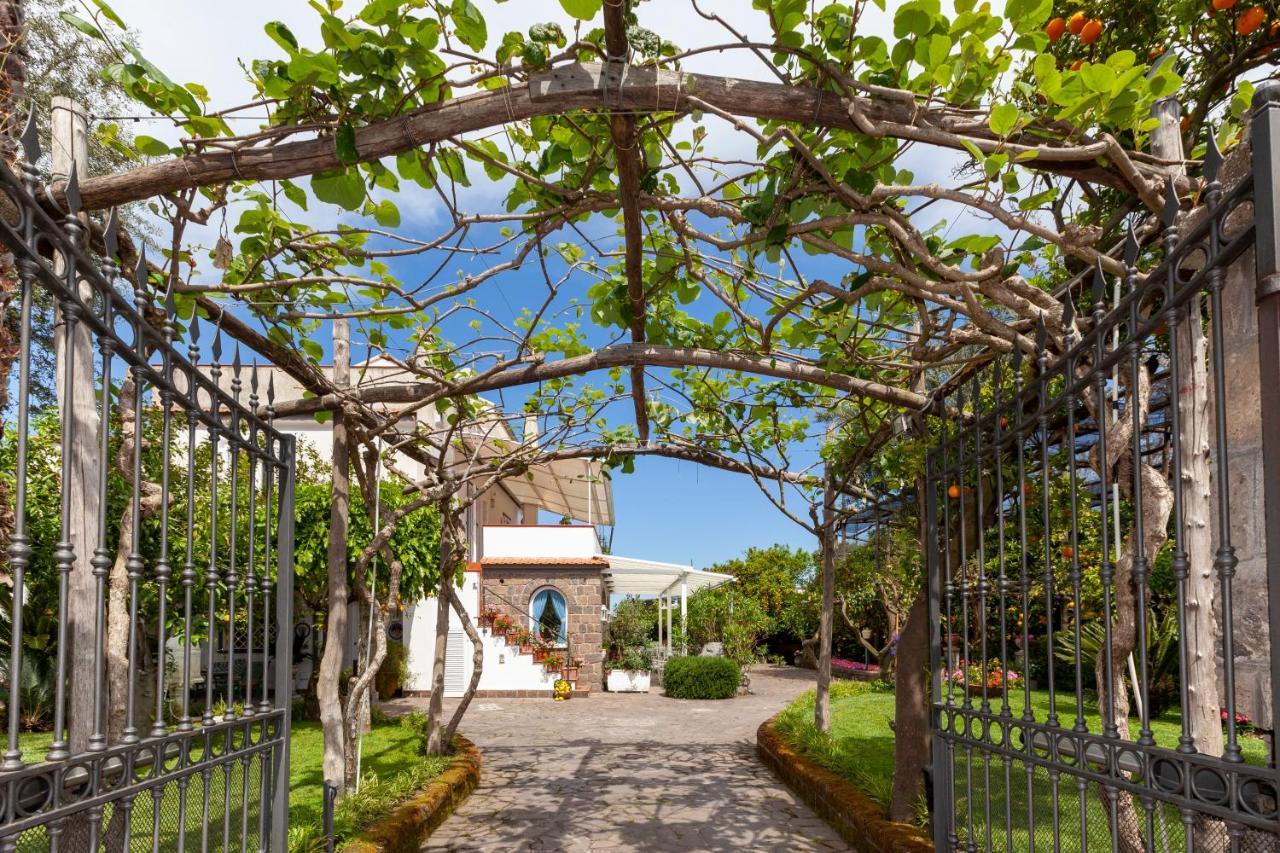 Villa Maresca B&B Piano di Sorrento Eksteriør bilde