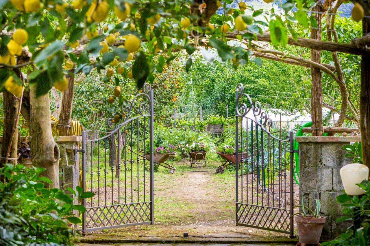 Villa Maresca B&B Piano di Sorrento Eksteriør bilde