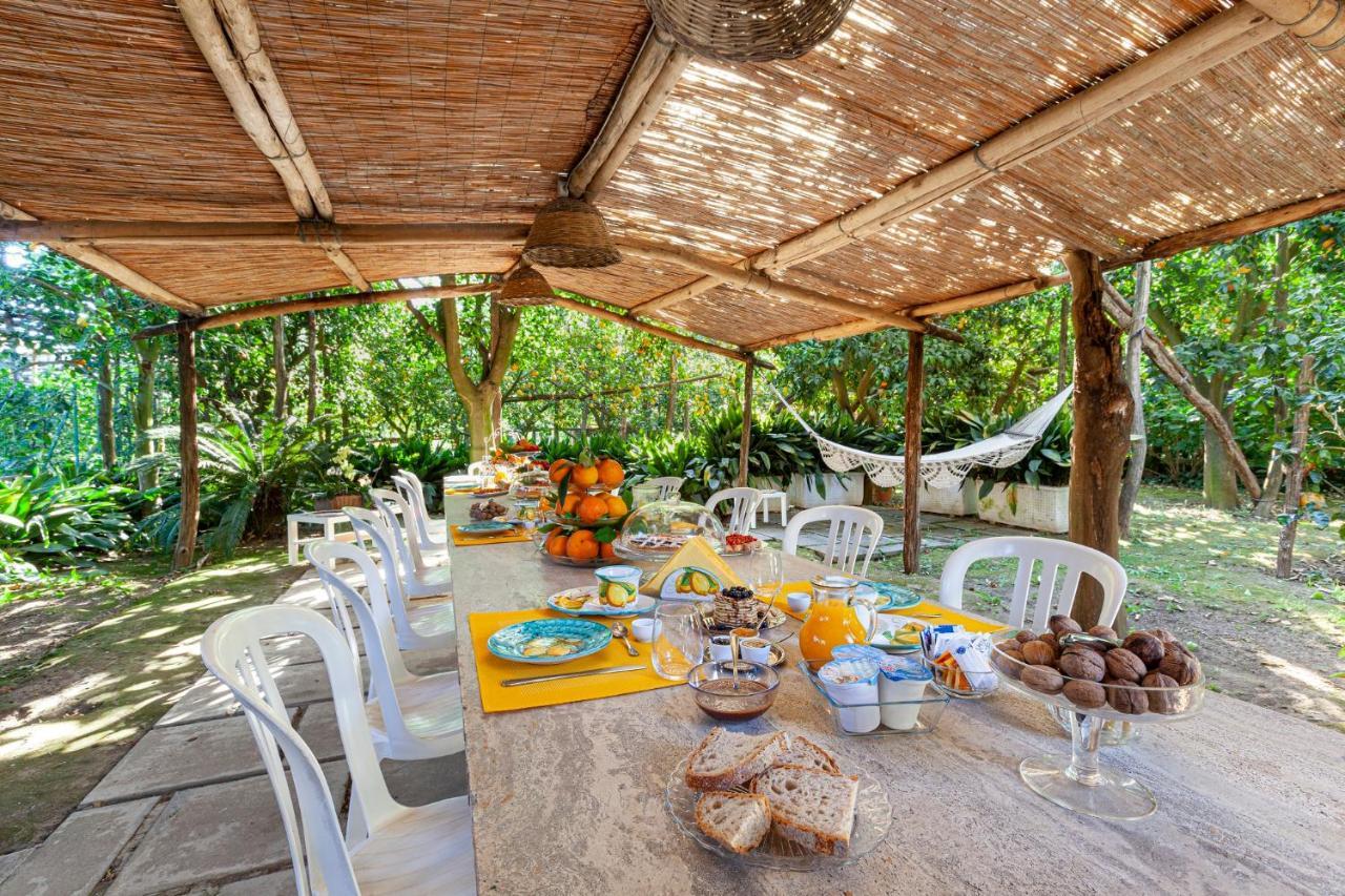 Villa Maresca B&B Piano di Sorrento Eksteriør bilde