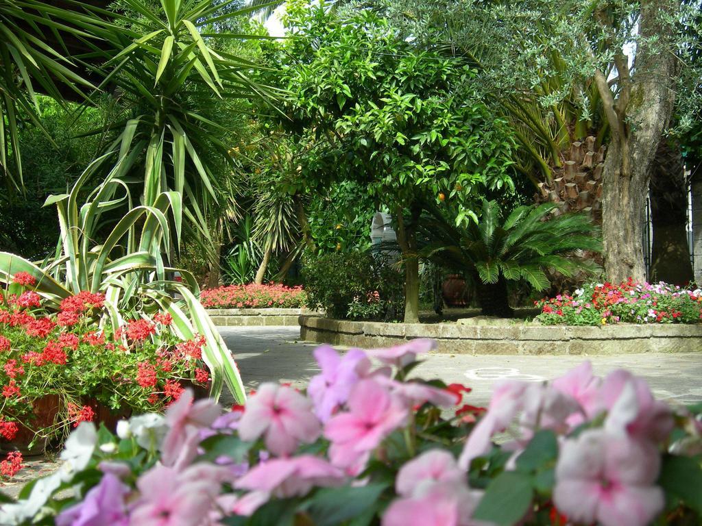 Villa Maresca B&B Piano di Sorrento Eksteriør bilde