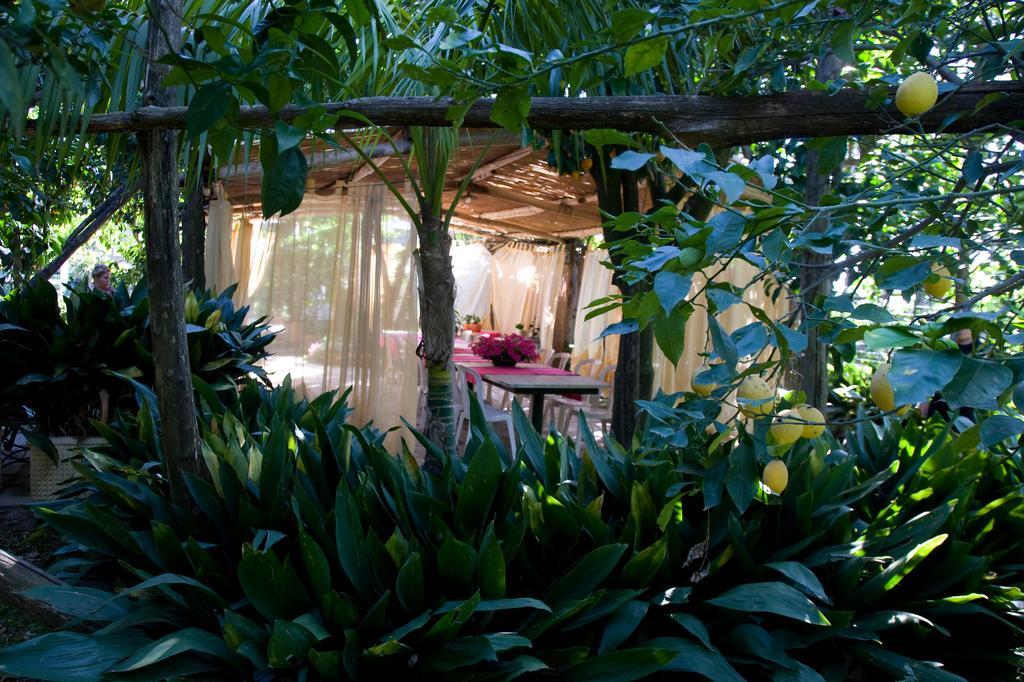 Villa Maresca B&B Piano di Sorrento Eksteriør bilde